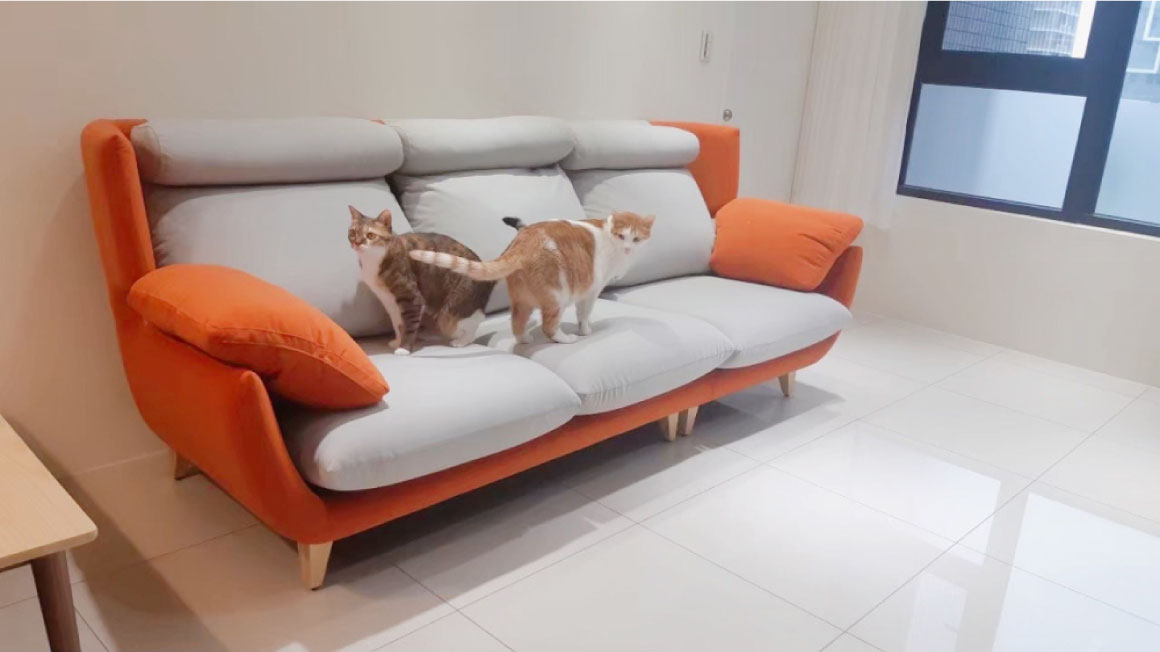 貓抓布沙發-極光